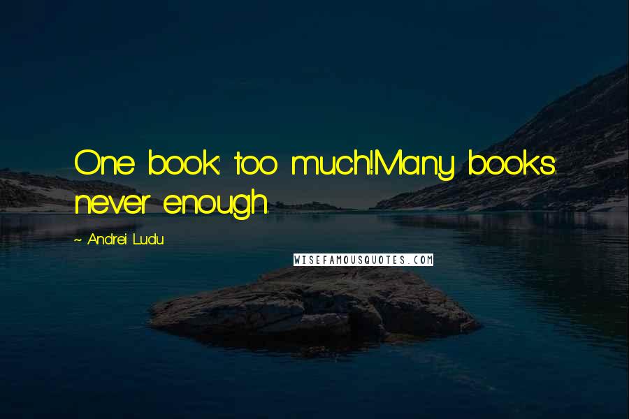 Andrei Ludu Quotes: One book: too much!Many books: never enough.