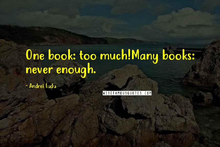 Andrei Ludu Quotes: One book: too much!Many books: never enough.