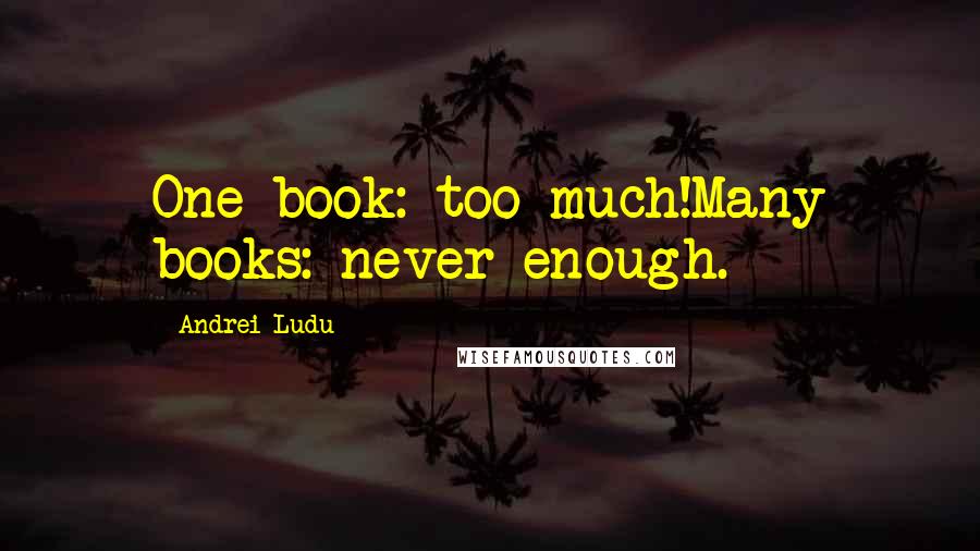 Andrei Ludu Quotes: One book: too much!Many books: never enough.