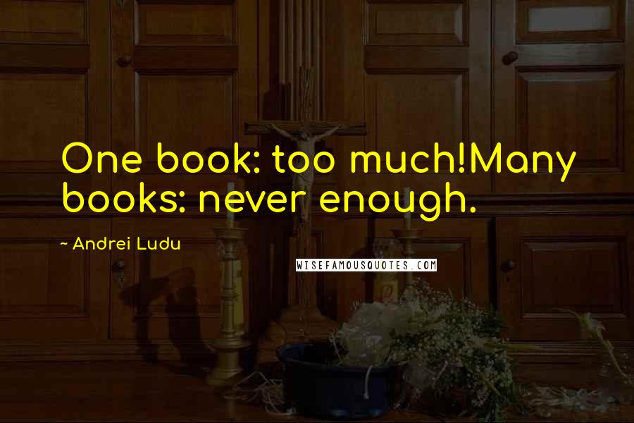 Andrei Ludu Quotes: One book: too much!Many books: never enough.