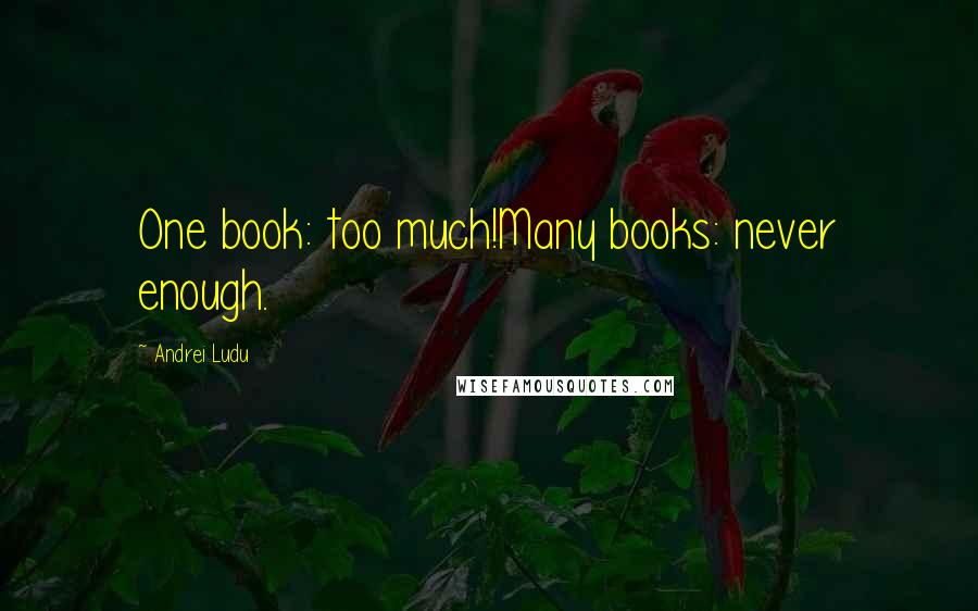 Andrei Ludu Quotes: One book: too much!Many books: never enough.