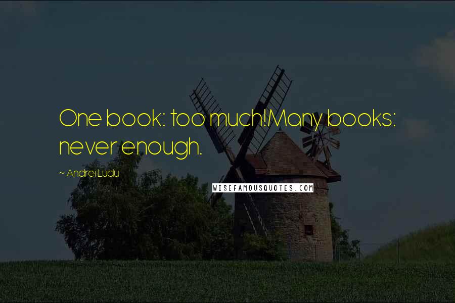 Andrei Ludu Quotes: One book: too much!Many books: never enough.