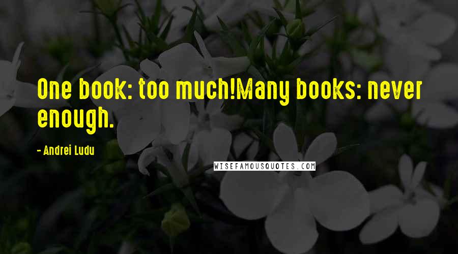 Andrei Ludu Quotes: One book: too much!Many books: never enough.