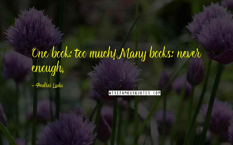 Andrei Ludu Quotes: One book: too much!Many books: never enough.