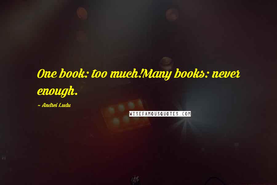 Andrei Ludu Quotes: One book: too much!Many books: never enough.