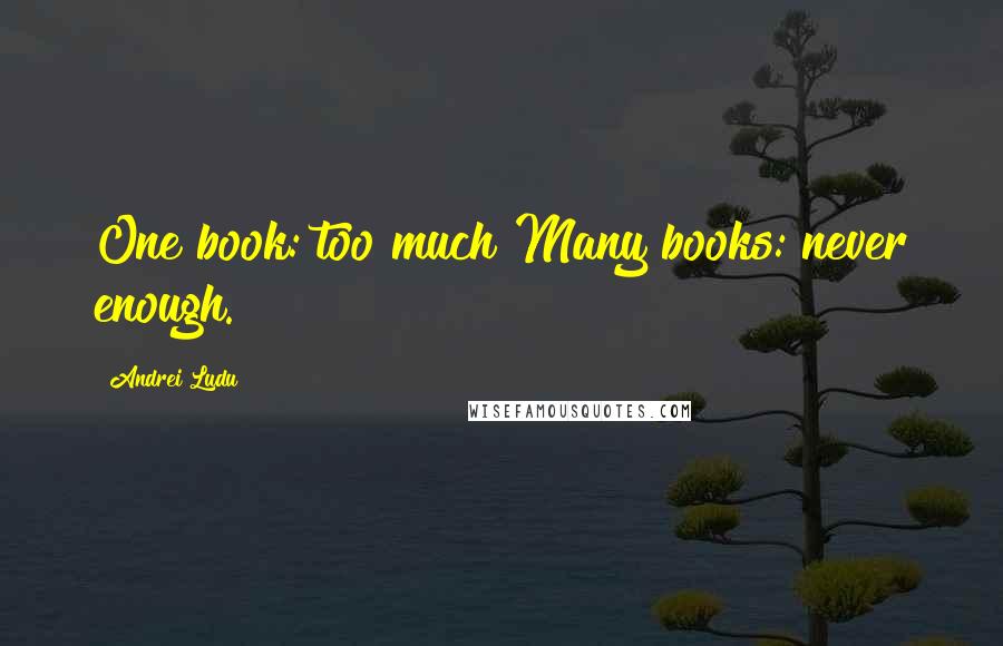 Andrei Ludu Quotes: One book: too much!Many books: never enough.