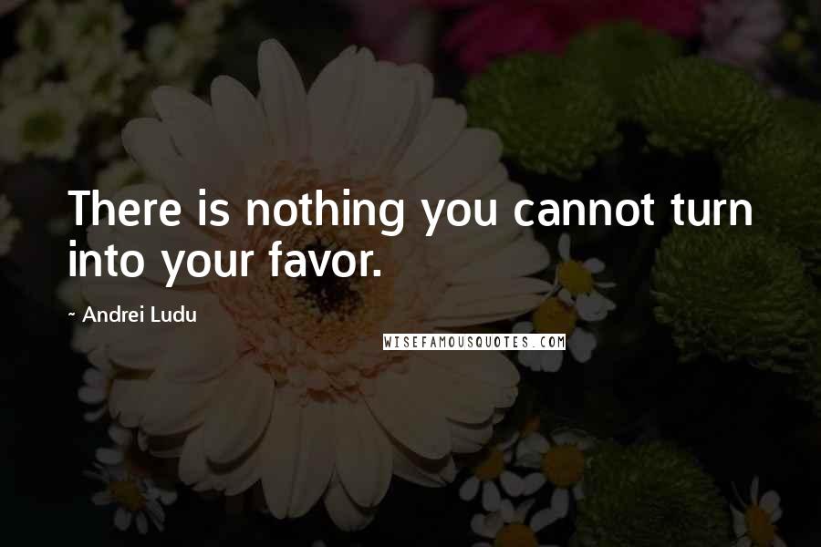 Andrei Ludu Quotes: There is nothing you cannot turn into your favor.
