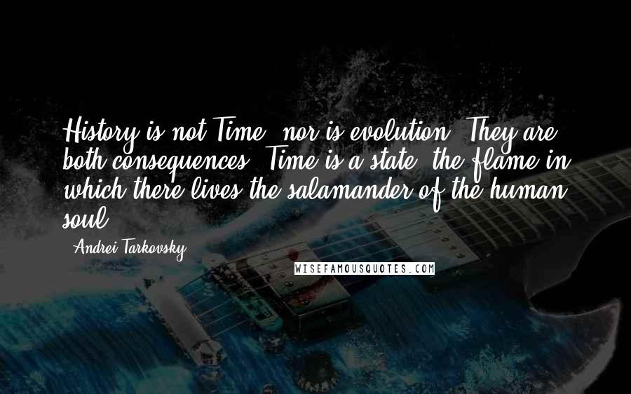 Andrei Tarkovsky Quotes: History is not Time; nor is evolution. They are both consequences. Time is a state: the flame in which there lives the salamander of the human soul