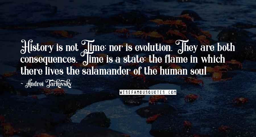 Andrei Tarkovsky Quotes: History is not Time; nor is evolution. They are both consequences. Time is a state: the flame in which there lives the salamander of the human soul