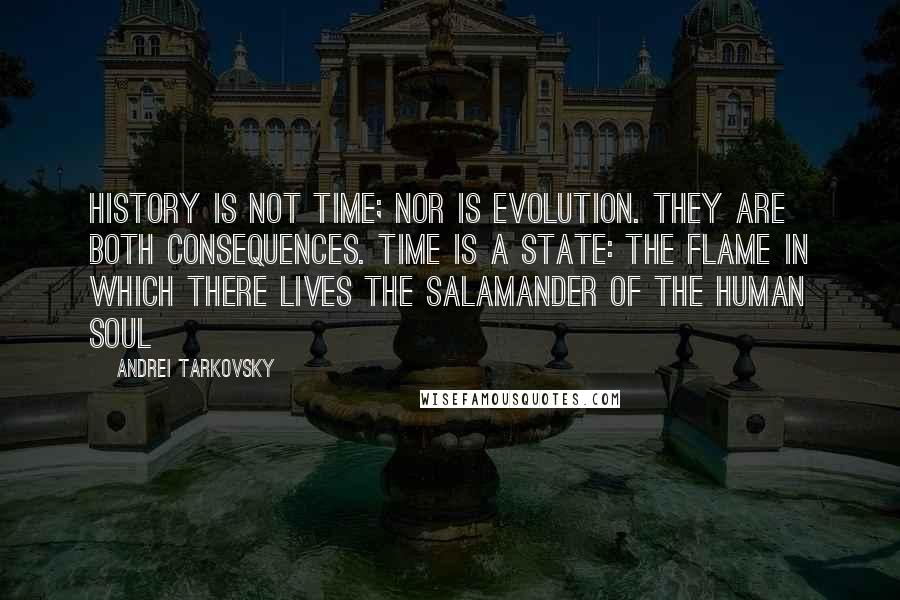 Andrei Tarkovsky Quotes: History is not Time; nor is evolution. They are both consequences. Time is a state: the flame in which there lives the salamander of the human soul