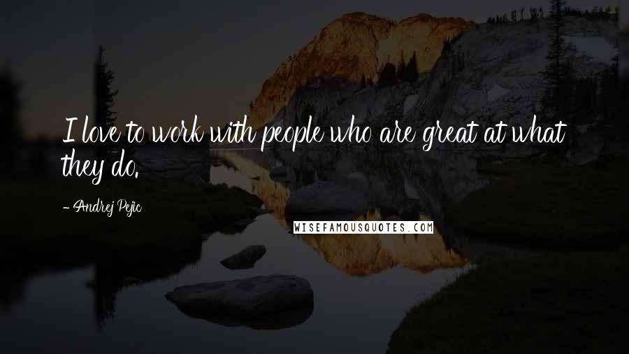 Andrej Pejic Quotes: I love to work with people who are great at what they do.