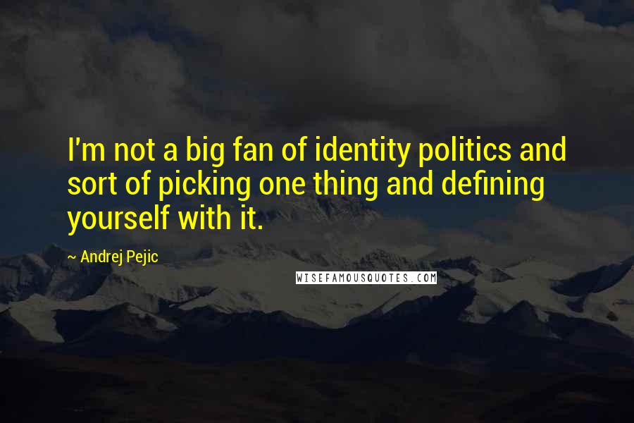 Andrej Pejic Quotes: I'm not a big fan of identity politics and sort of picking one thing and defining yourself with it.