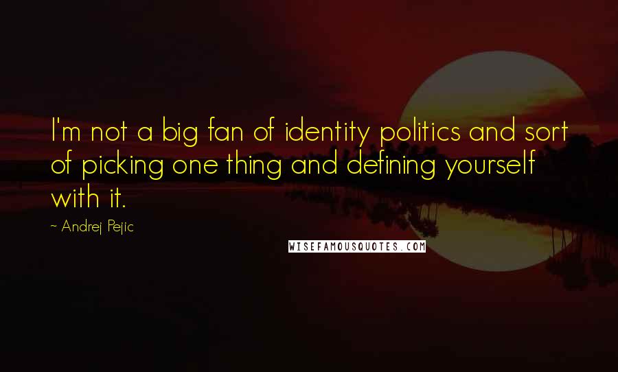 Andrej Pejic Quotes: I'm not a big fan of identity politics and sort of picking one thing and defining yourself with it.