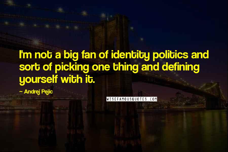 Andrej Pejic Quotes: I'm not a big fan of identity politics and sort of picking one thing and defining yourself with it.