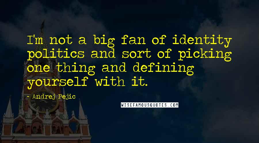 Andrej Pejic Quotes: I'm not a big fan of identity politics and sort of picking one thing and defining yourself with it.