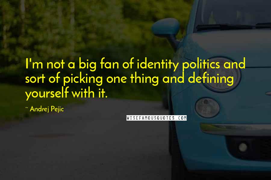 Andrej Pejic Quotes: I'm not a big fan of identity politics and sort of picking one thing and defining yourself with it.