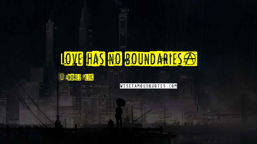 Andrej Pejic Quotes: Love has no boundaries.