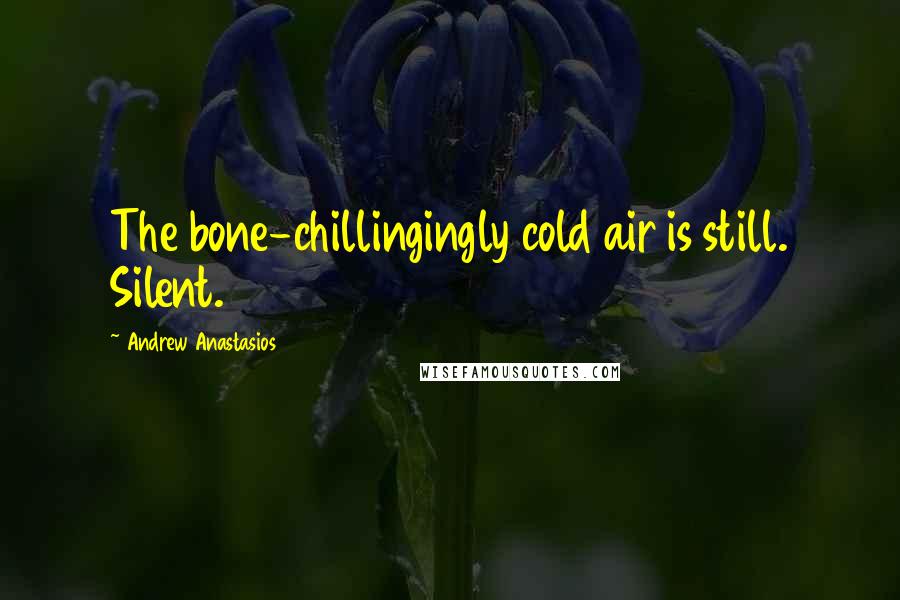 Andrew Anastasios Quotes: The bone-chillingingly cold air is still. Silent.