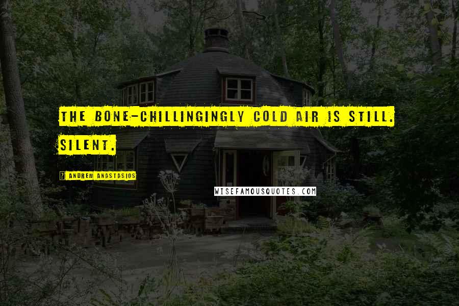 Andrew Anastasios Quotes: The bone-chillingingly cold air is still. Silent.