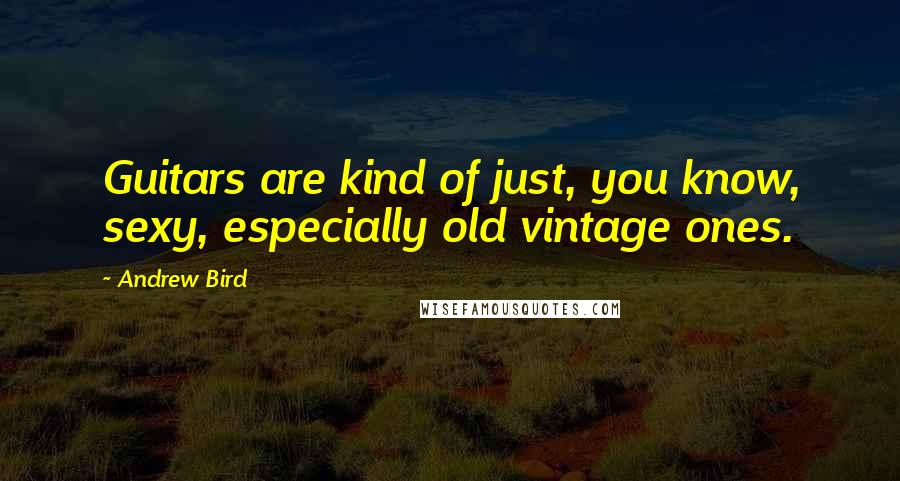 Andrew Bird Quotes: Guitars are kind of just, you know, sexy, especially old vintage ones.