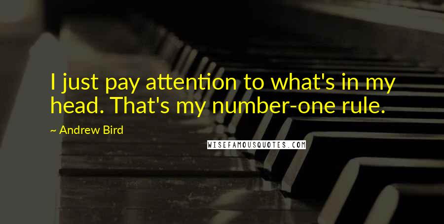 Andrew Bird Quotes: I just pay attention to what's in my head. That's my number-one rule.