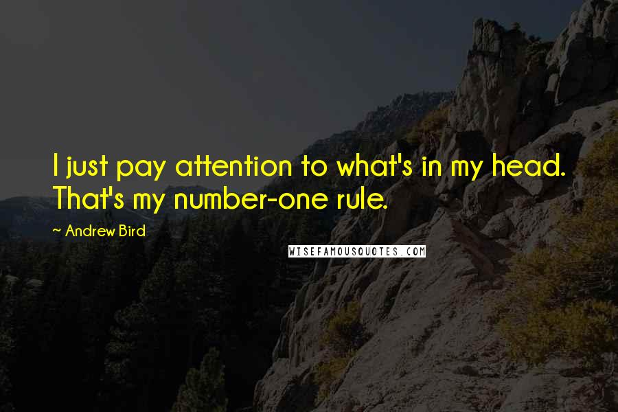 Andrew Bird Quotes: I just pay attention to what's in my head. That's my number-one rule.