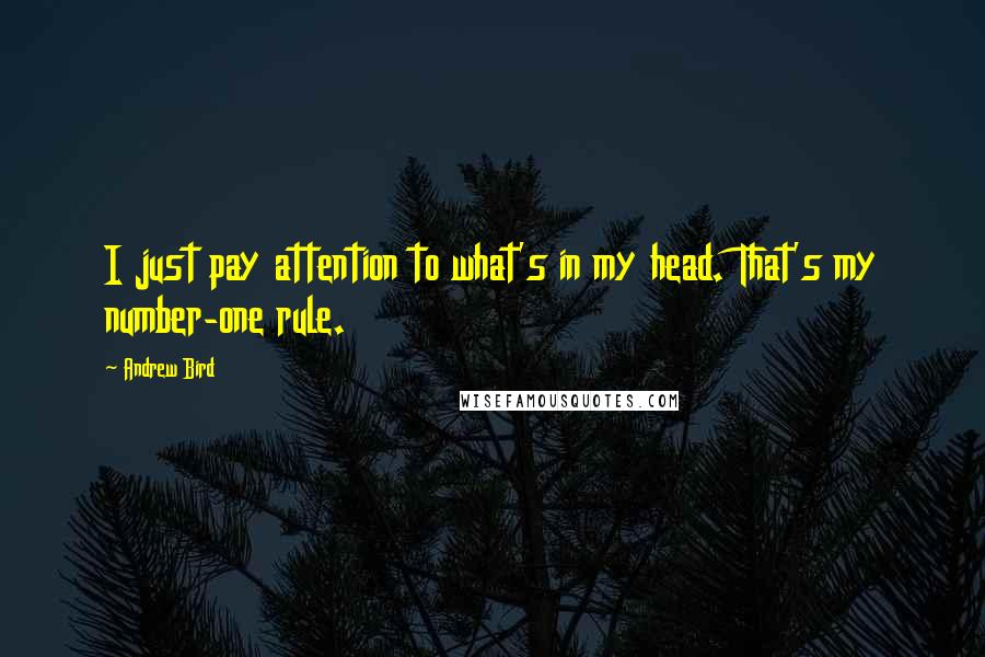 Andrew Bird Quotes: I just pay attention to what's in my head. That's my number-one rule.