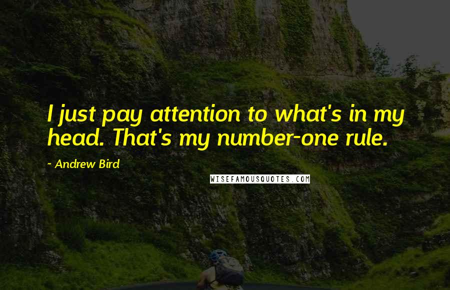 Andrew Bird Quotes: I just pay attention to what's in my head. That's my number-one rule.