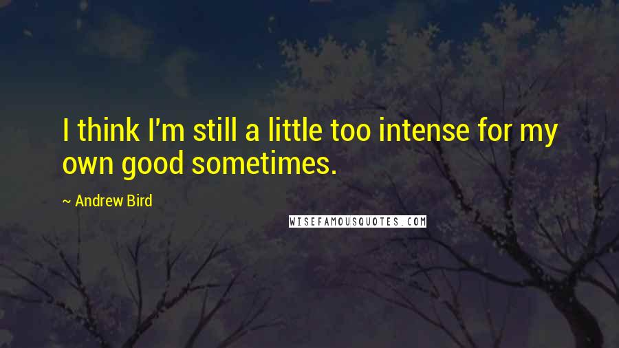 Andrew Bird Quotes: I think I'm still a little too intense for my own good sometimes.