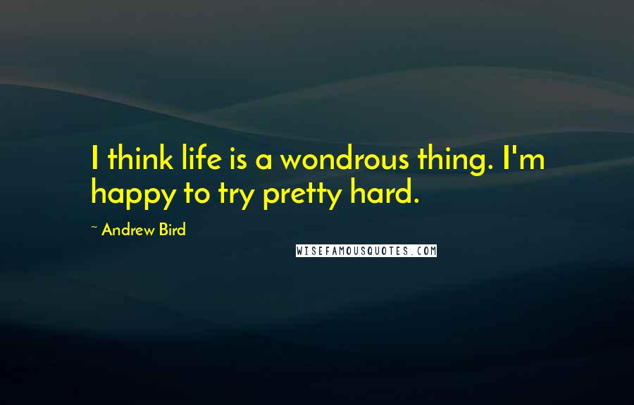 Andrew Bird Quotes: I think life is a wondrous thing. I'm happy to try pretty hard.