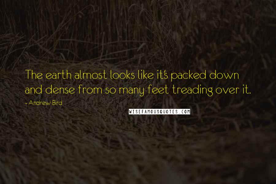 Andrew Bird Quotes: The earth almost looks like it's packed down and dense from so many feet treading over it.