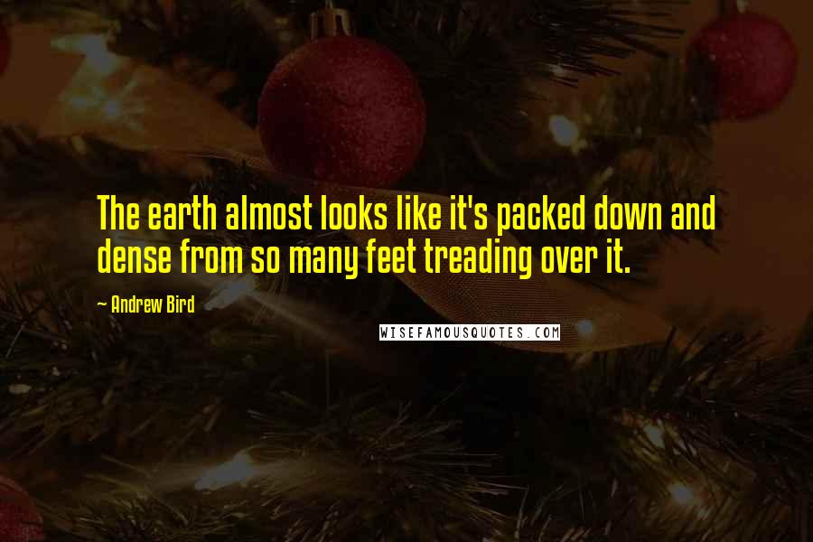 Andrew Bird Quotes: The earth almost looks like it's packed down and dense from so many feet treading over it.
