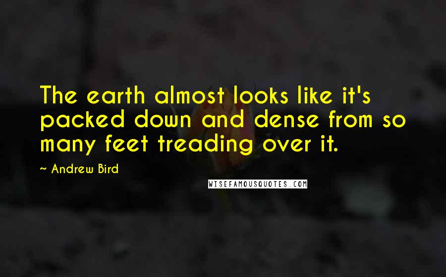 Andrew Bird Quotes: The earth almost looks like it's packed down and dense from so many feet treading over it.