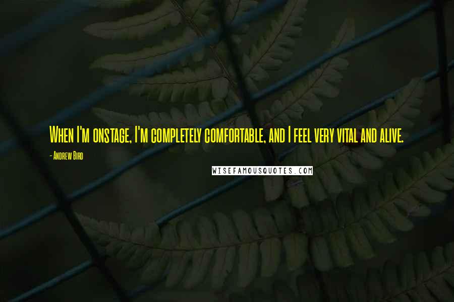 Andrew Bird Quotes: When I'm onstage, I'm completely comfortable, and I feel very vital and alive.