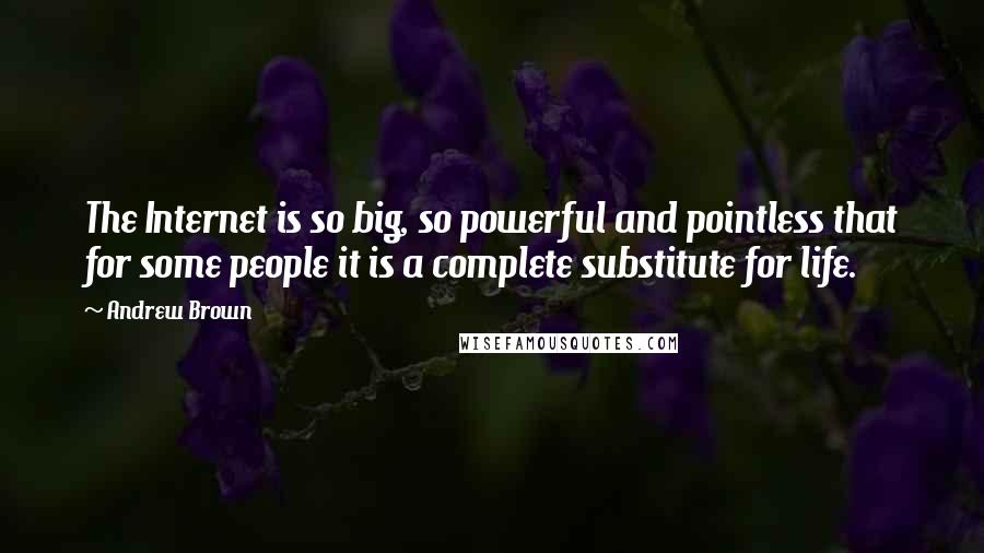 Andrew Brown Quotes: The Internet is so big, so powerful and pointless that for some people it is a complete substitute for life.