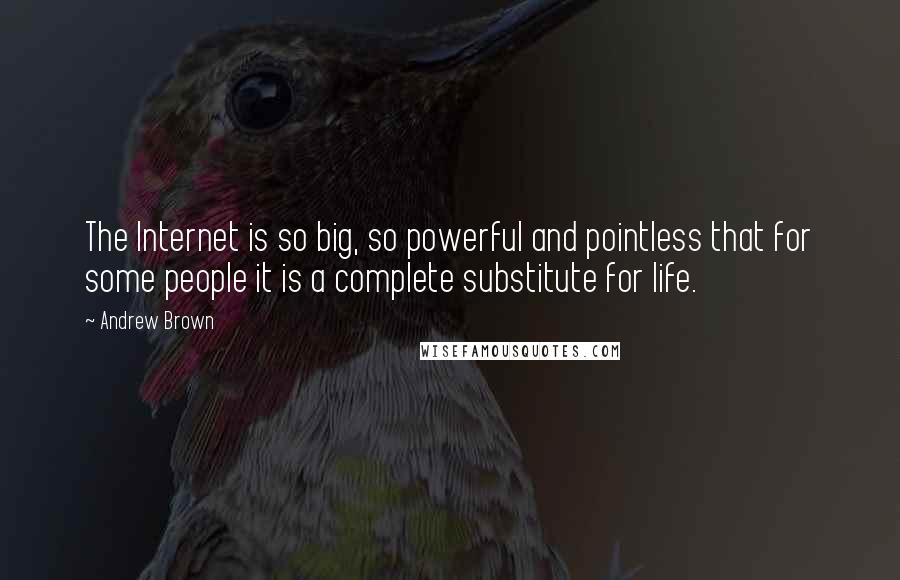 Andrew Brown Quotes: The Internet is so big, so powerful and pointless that for some people it is a complete substitute for life.