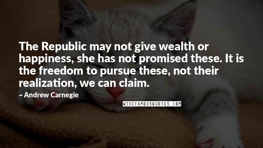 Andrew Carnegie Quotes: The Republic may not give wealth or happiness, she has not promised these. It is the freedom to pursue these, not their realization, we can claim.
