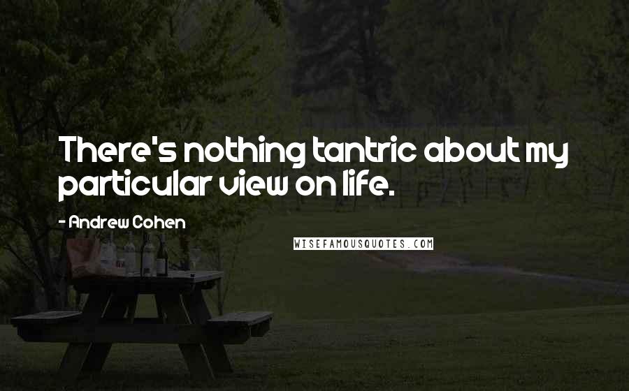 Andrew Cohen Quotes: There's nothing tantric about my particular view on life.