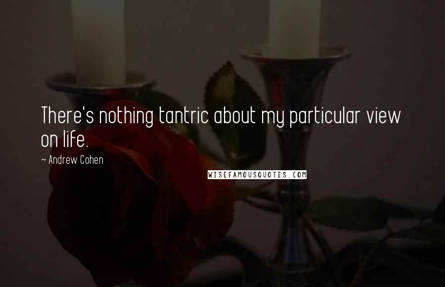 Andrew Cohen Quotes: There's nothing tantric about my particular view on life.