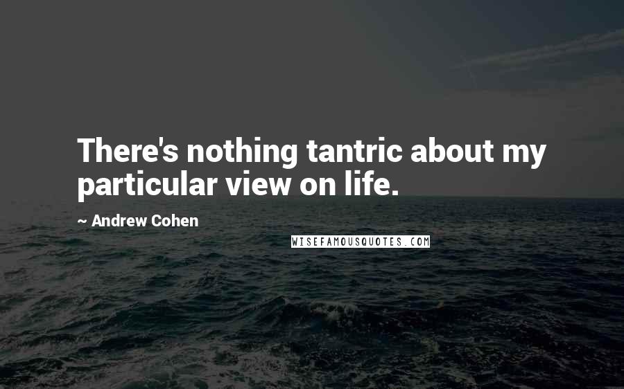 Andrew Cohen Quotes: There's nothing tantric about my particular view on life.