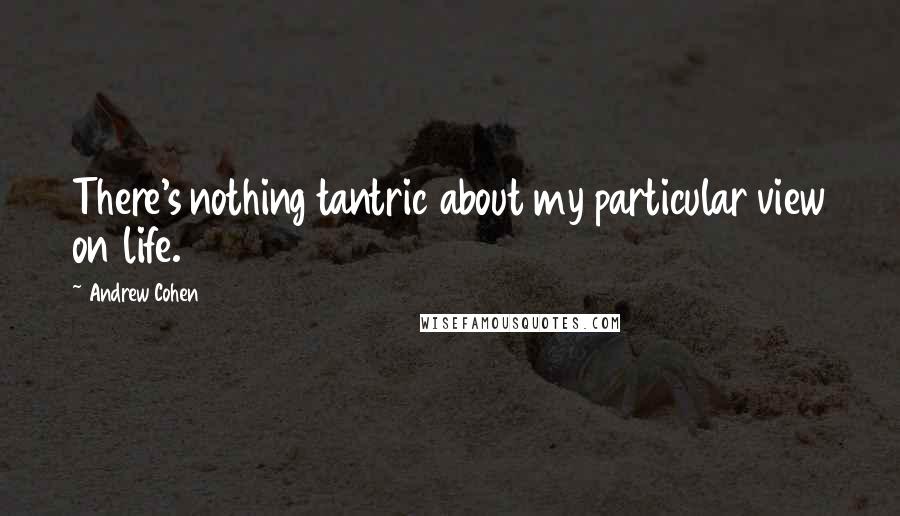 Andrew Cohen Quotes: There's nothing tantric about my particular view on life.