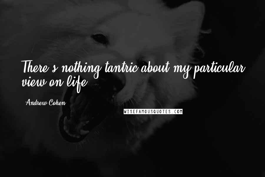 Andrew Cohen Quotes: There's nothing tantric about my particular view on life.