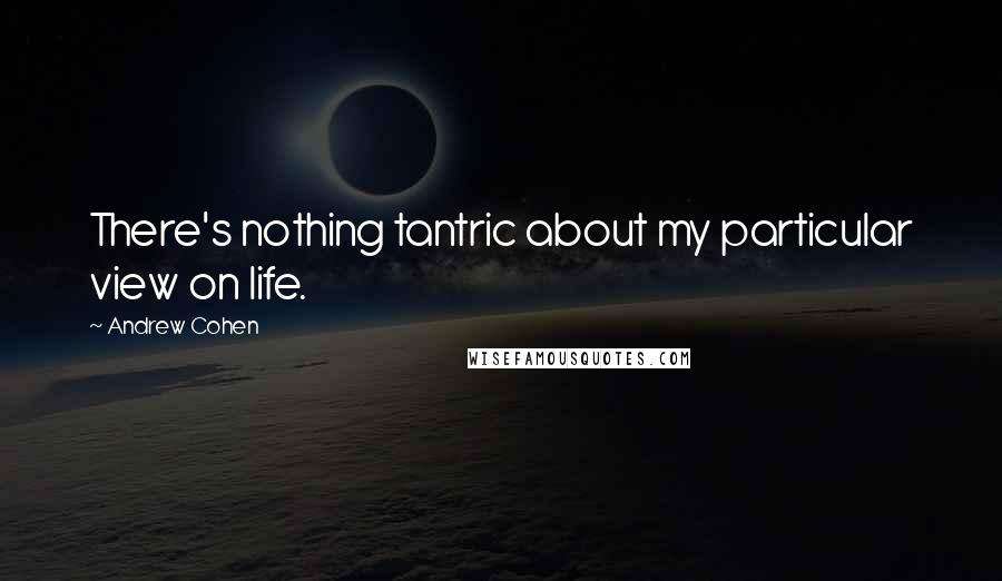 Andrew Cohen Quotes: There's nothing tantric about my particular view on life.