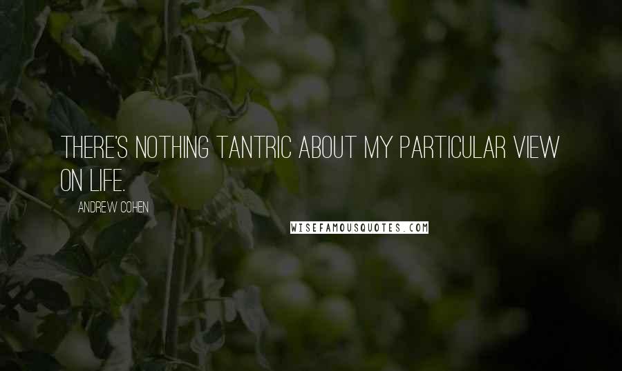 Andrew Cohen Quotes: There's nothing tantric about my particular view on life.