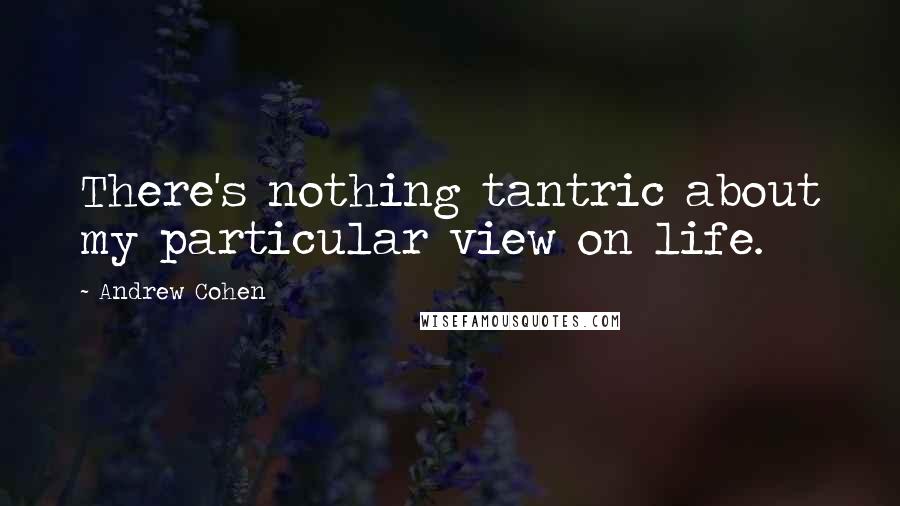 Andrew Cohen Quotes: There's nothing tantric about my particular view on life.