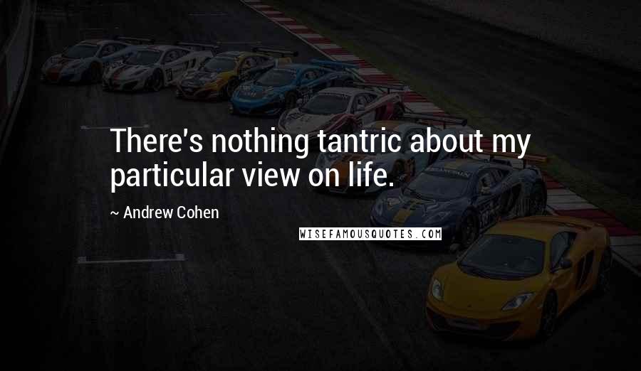 Andrew Cohen Quotes: There's nothing tantric about my particular view on life.