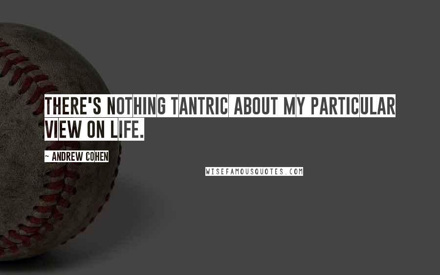 Andrew Cohen Quotes: There's nothing tantric about my particular view on life.