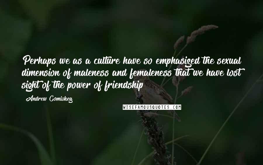 Andrew Comiskey Quotes: Perhaps we as a culture have so emphasized the sexual dimension of maleness and femaleness that we have lost sight of the power of friendship