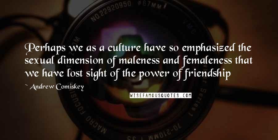 Andrew Comiskey Quotes: Perhaps we as a culture have so emphasized the sexual dimension of maleness and femaleness that we have lost sight of the power of friendship