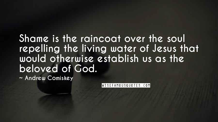 Andrew Comiskey Quotes: Shame is the raincoat over the soul repelling the living water of Jesus that would otherwise establish us as the beloved of God.